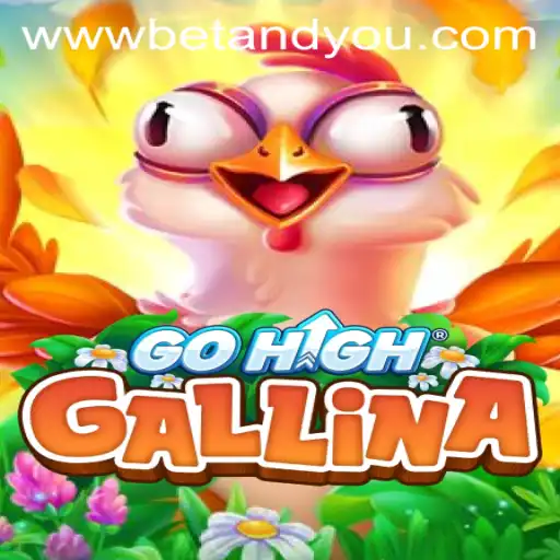 GoHighGallina: An Exciting Betting Experience with Betandyou Game