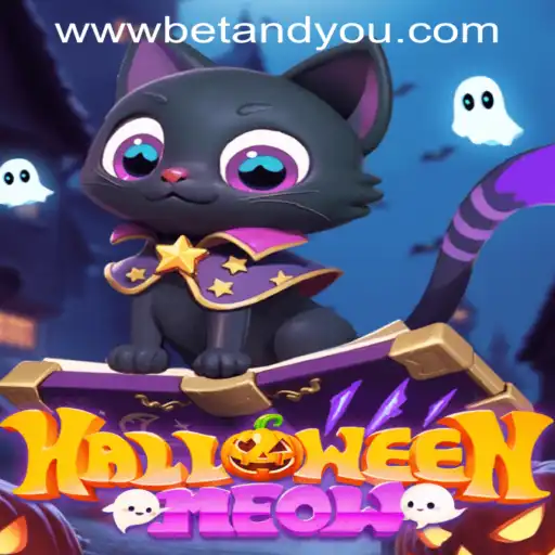 Unveiling HalloweenMeow: The Spooky Delight of Betandyou Game