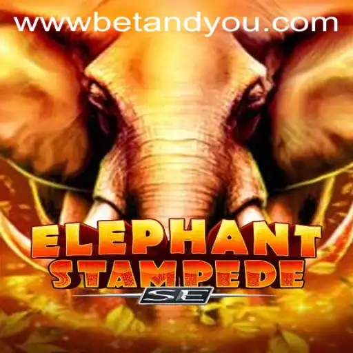 Discovering ElephantStampedeSE: An In-Depth Guide to the Exciting Betandyou Game