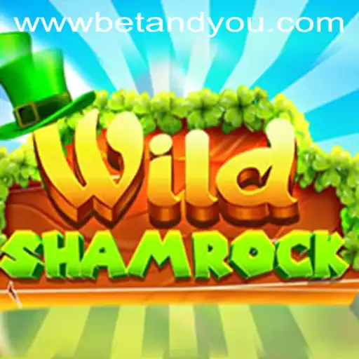 Exploring the World of WildShamrock: The Betandyou Game
